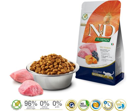 FARMINA DRY CAT FOOD -  FARMINA N&D CAT PUMPKIN LAMB&BLUEBERRY ADULT 300G