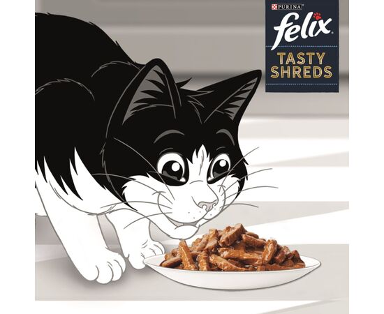 PURINA NESTLE FELIX TASTY SHREDS WITH SALMON AND TUNA - 4X 80G