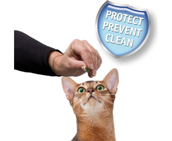 BEAPHAR CAT TOOTH PROTECTION SNACK - 35 G
