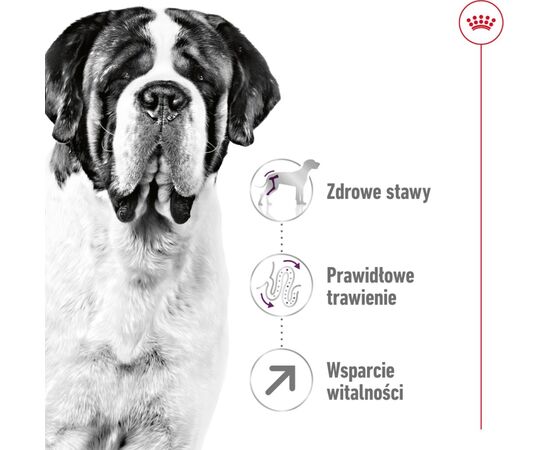 ROYAL CANIN GIANT ADULT 15 KG