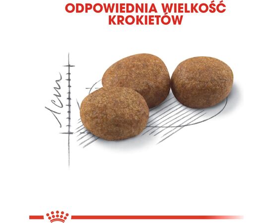 ROYAL CANIN STERILISED 37 CATS DRY FOOD ADULT 10 KG