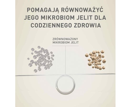 PURINA NESTLE PURINA ONE MINI DELICATE SALMON, RICE - DRY DOG FOOD - 800 G