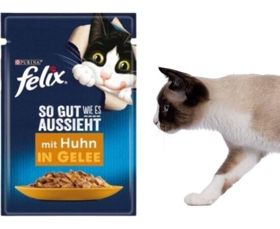 PURINA NESTLE PURINA FELIX MIX 120X85G
