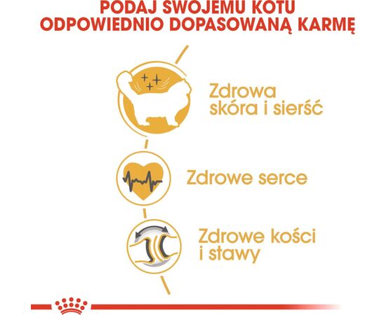 ROYAL CANIN RAGDOLL ADULT CATS DRY FOOD 2 KG