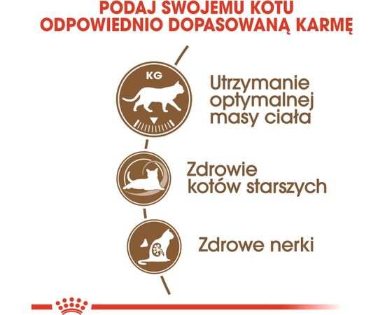 ROYAL CANIN SENIOR AGEING STERILISED 12+ CATS DRY FOOD 400 G CORN, POULTRY, VEGETABLE