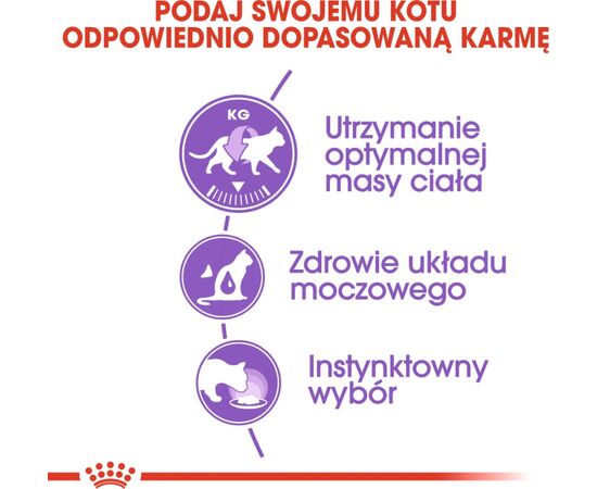 ROYAL CANIN FHN STERILISED IN SAUCE - WET FOOD FOR ADULT CATS - 12X85G