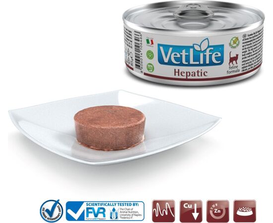 FARMINA WET CAT FOOD - FARMINA VET LIFE NATURAL DIET CAT HEPATIC 85G