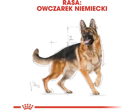 ROYAL CANIN GERMAN SHEPHERD 11KG