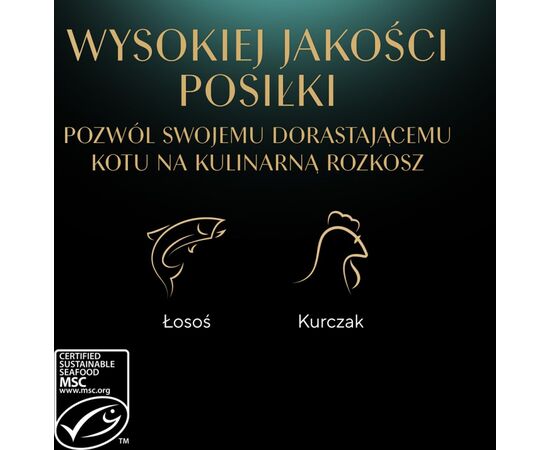 SHEBA KITTEN SELECTION OF FLAVORS IN SAUCE - WET CAT FOOD - 40X85 G