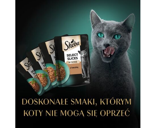 SHEBA SELECTION SELECT SLICES POULTRY FLAVOURS - WET CAT FOOD - 40 X 85G