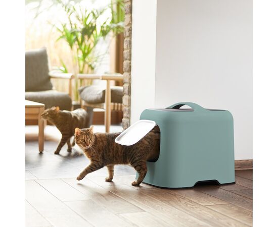 ROTHO KUWETA GREEN DLA KOTA