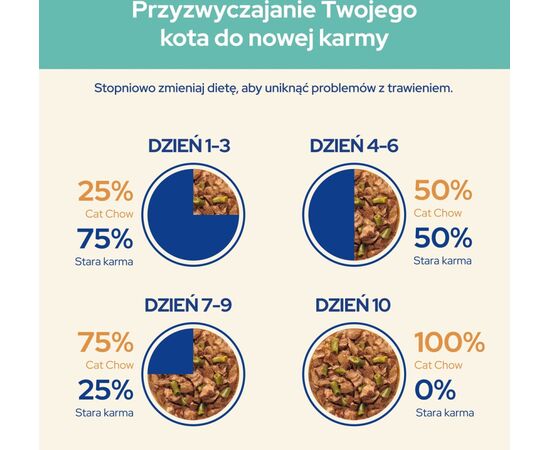 PURINA NESTLE CAT CHOW HAIRBALL CONTROL CHICKEN GREEN BEANS IN SAUCE 85G