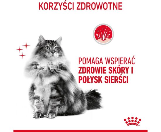 ROYAL CANIN HAIR & SKIN CARE CATS DRY FOOD 2 KG ADULT