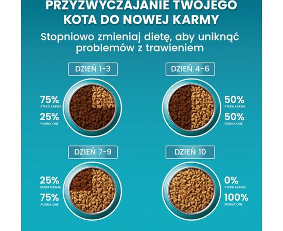 PURINA NESTLE PURINA ONE STERILCAT RICH IN BEEF AND WHEAT 800G