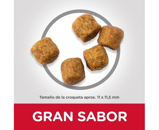 HILL'S SCIENCE PLAN MATURE ADULT MEDIUM LAMB AND RICE - DRY DOG FOOD - 2.5 KG