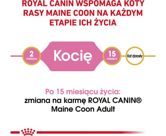 ROYAL CANIN MAINE COON KITTEN CATS DRY FOOD POULTRY,RICE 400 G