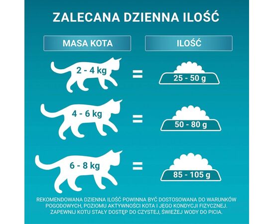 PURINA NESTLE PURINA ONE BIFENSIS SENIOR 7+ - DRY CAT FOOD - 800 G