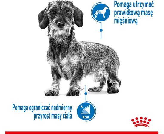 ROYAL CANIN CCN MINI LIGHT WEIGHT CARE - DRY FOOD FOR ADULT DOGS - 3KG