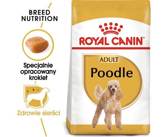 ROYAL CANIN POODLE ADULT 1.5 KG