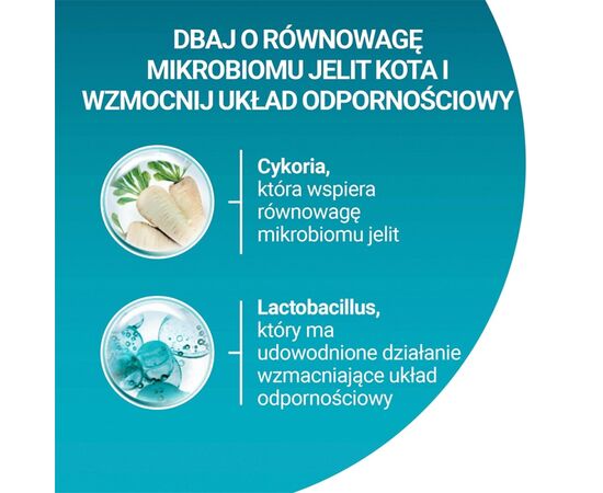 PURINA NESTLE PURINA ONE BIFENSIS SENIOR 7+ - DRY CAT FOOD - 800 G