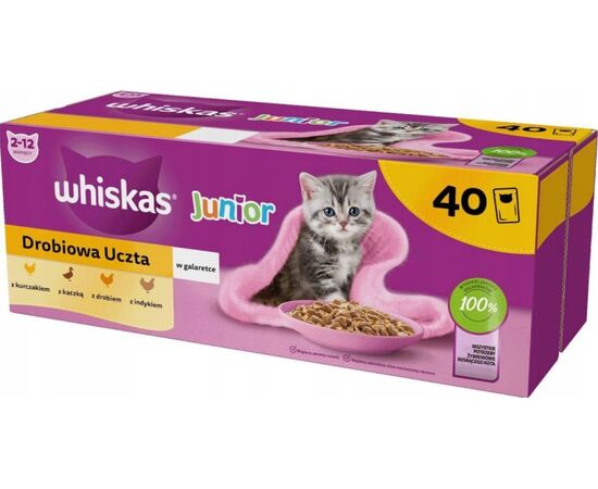 WHISKAS JUNIOR POULTRY IN JELLY - WET CAT FOOD - 40 X 85G