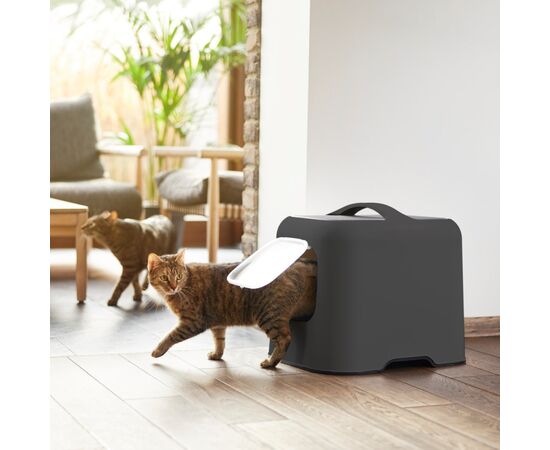 ROTHO KUWETA ANTRACYT DLA KOTA