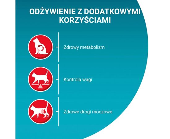 PURINA NESTLE PURINA ONE STERILCAT RICH IN BEEF AND WHEAT 800G