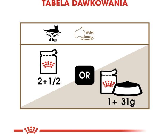 ROYAL CANIN FHN AGEING 12+ IN JELLY - WET FOOD FOR SENIOR CATS - 12X85G