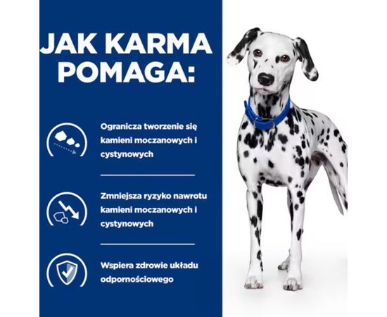 HILL'S PD U/D URINARY CARE, CAN, DLA PSA 370 G