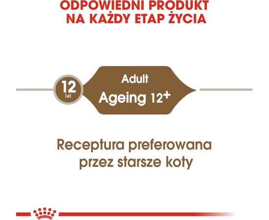 ROYAL CANIN FHN AGEING 12+ IN JELLY - WET FOOD FOR SENIOR CATS - 12X85G