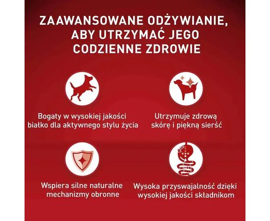 PURINA NESTLE PURINA ONE MINI/SMALL ACTIVE BEEF  - WET DOG FOOD - 85G