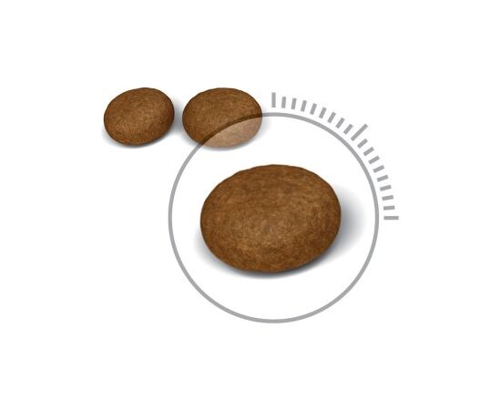 ROYAL CANIN HAIR & SKIN CARE CATS DRY FOOD 2 KG ADULT