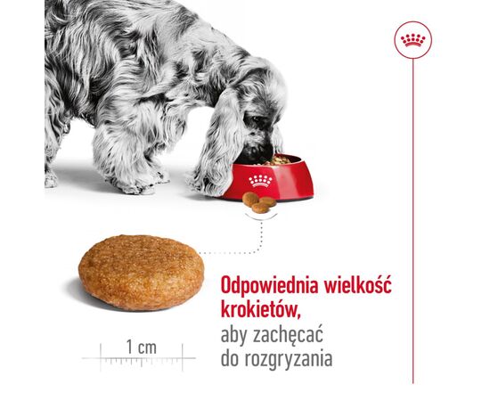 ROYAL CANIN SHN MEDIUM ADULT BF 4KG