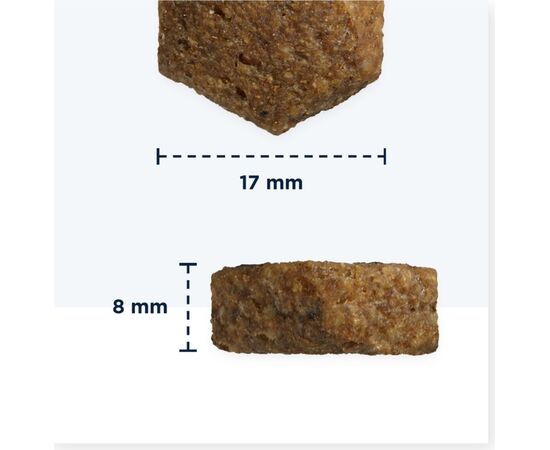 EUKANUBA SENIOR LARGE&GIANT LAMB WITH RICE - DRY DOG FOOD - 12KG