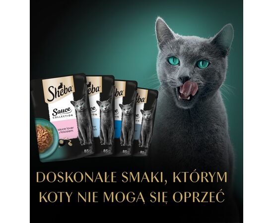 SHEBA SAUCE COLLECTION FISH FLAVORS COLLECTION - WET CAT FOOD - 40X85 G