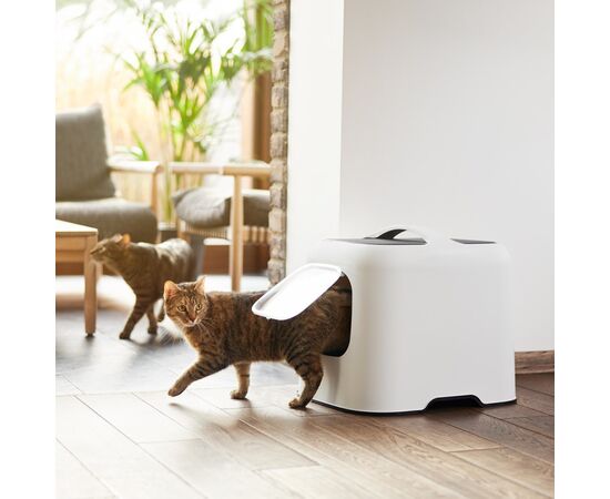 ROTHO KUWETA WHITE DLA KOTA