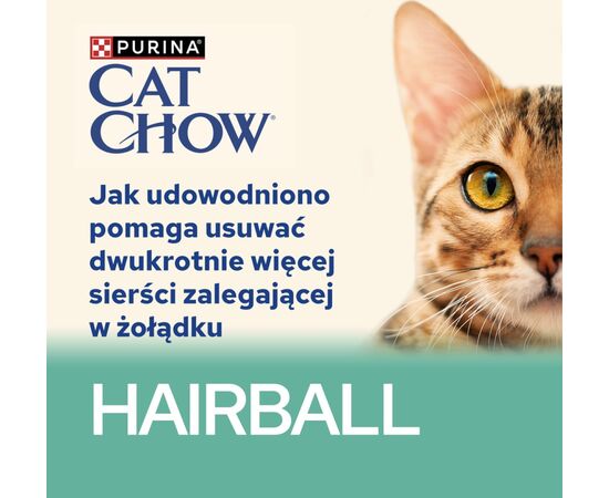 PURINA NESTLE CAT CHOW HAIRBALL CONTROL CHICKEN GREEN BEANS IN SAUCE 85G