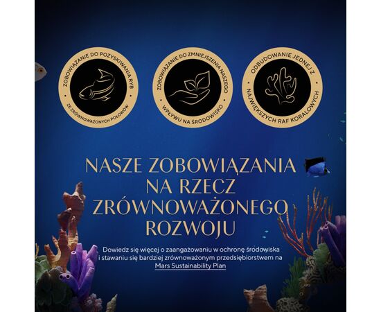 SHEBA KITTEN SELECTION OF FLAVORS IN SAUCE - WET CAT FOOD - 40X85 G