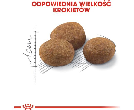 ROYAL CANIN STERILISED 7+ CATS DRY FOOD SENIOR 10 KG