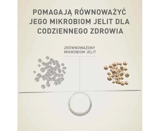 PURINA NESTLE PURINA ONE MINI/SMALL ACTIVE BEEF  - WET DOG FOOD - 85G