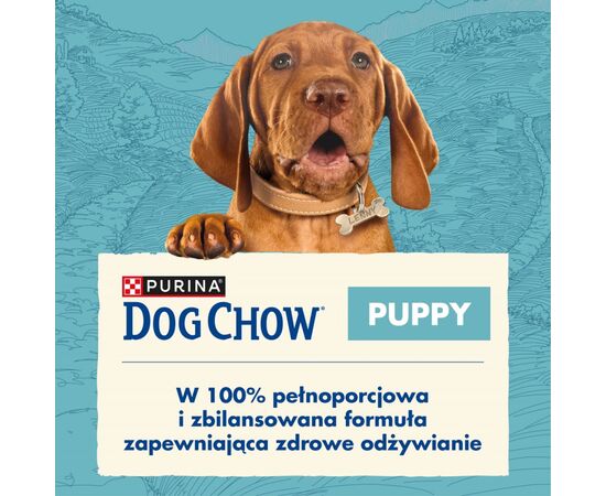 PURINA NESTLE PURINA DOG CHOW PUPPY LAMB 14 KG