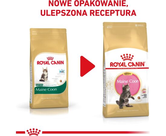 ROYAL CANIN MAINE COON KITTEN CATS DRY FOOD POULTRY,RICE 400 G
