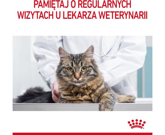 ROYAL CANIN HAIR & SKIN CARE CATS DRY FOOD 0,4 KG