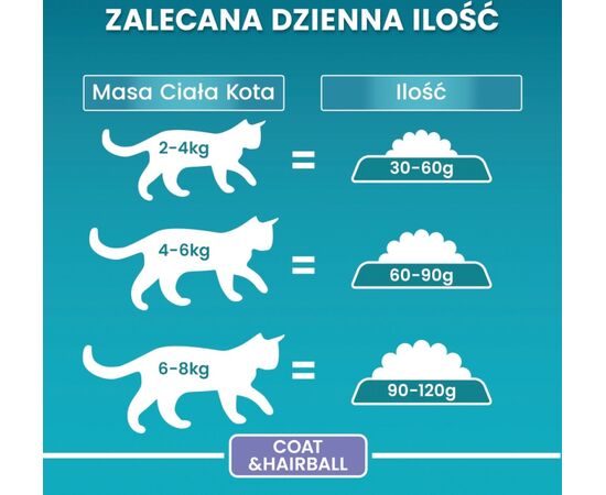 PURINA NESTLE PURINA ONE COAT & HAIRBALL RICH IN CHICKEN CATS DRY FOOD 800 G ADULT