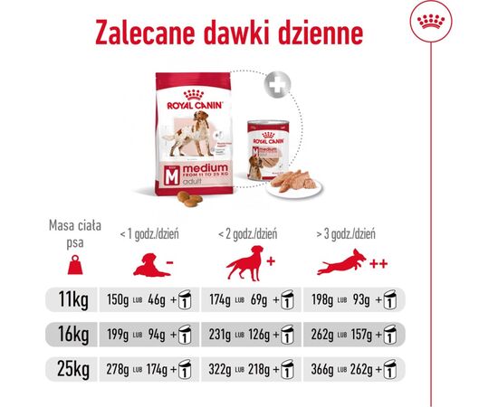 ROYAL CANIN SHN MEDIUM ADULT BF 4KG