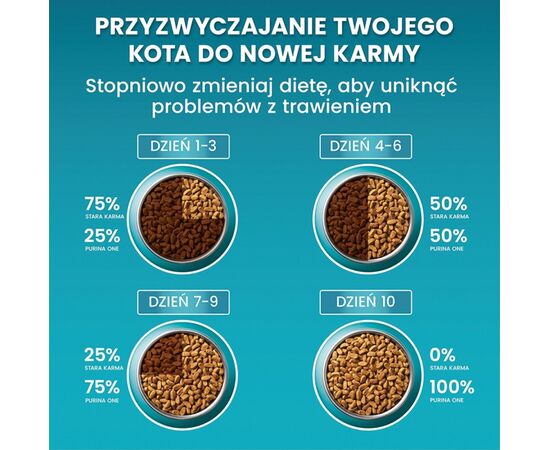 PURINA NESTLE PURINA ONE BIFENSIS SENIOR 7+ - DRY CAT FOOD - 800 G