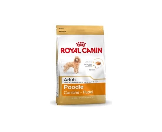 ROYAL CANIN POODLE ADULT 1.5 KG