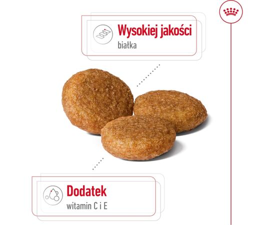 ROYAL CANIN SHN MEDIUM ADULT BF 15KG