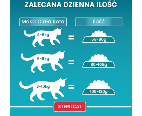 PURINA NESTLE PURINA ONE STERILCAT RICH IN BEEF AND WHEAT 800G