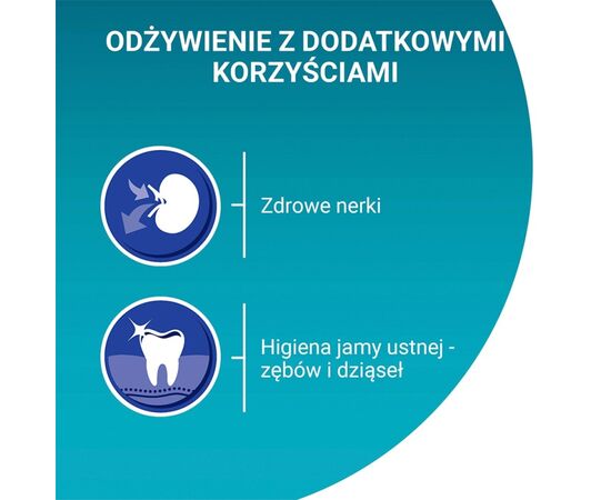 PURINA NESTLE PURINA ONE BIFENSIS SENIOR 7+ - DRY CAT FOOD - 800 G